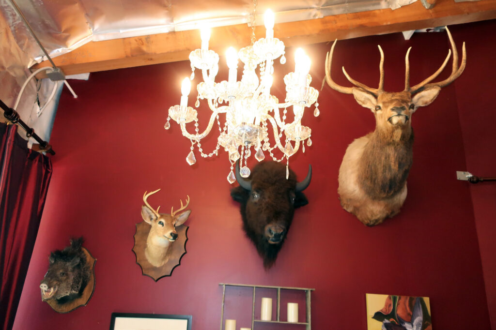 Stuffed animals in the show room