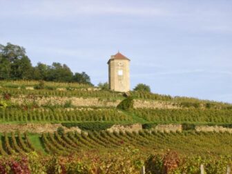 Bénédicte & Stéphane Tissot Vineyards