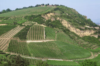 Domaine Zind Humbrecht