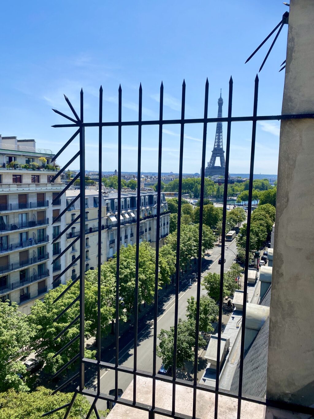 Eiffel Tower view