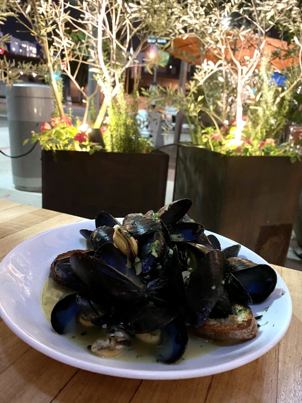 Mussels