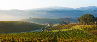 Tablas Creek Vineyard Paso Robles CA
