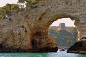 Susumaniello Puglia wine Italy