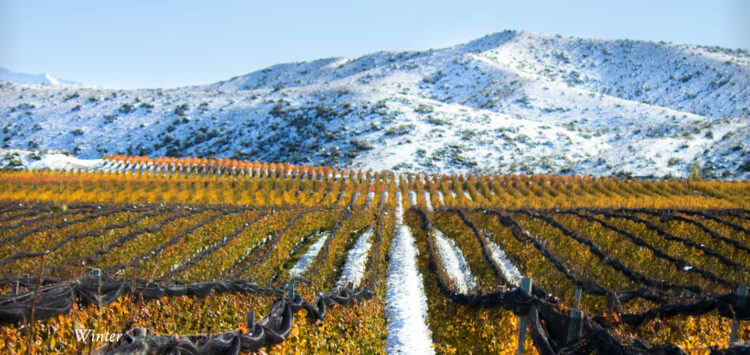 Catena Zapata Malbec Mendoza Argentina