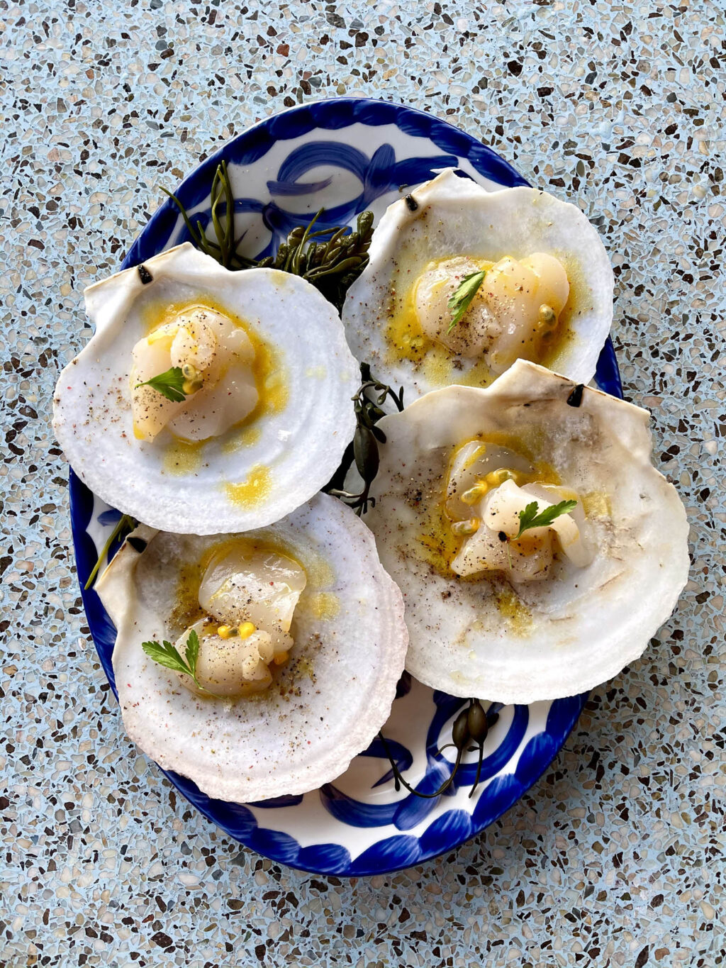 Kokkaido scallop