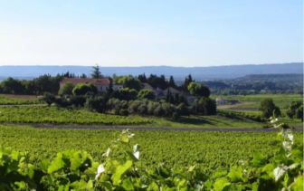 Domaine du Séminaire Côtes du Rhône vineyards