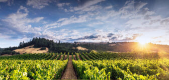 Fel Chardonnay Anderson Valley CA