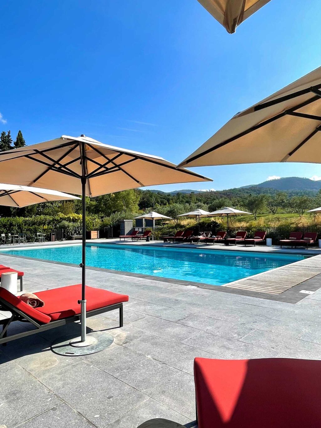 Swimming pool | Ultimate Provence