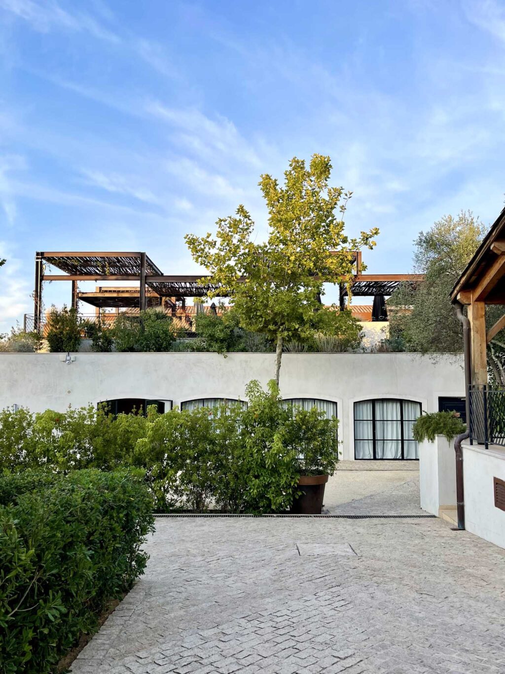 Terrace | Ultimate Provence