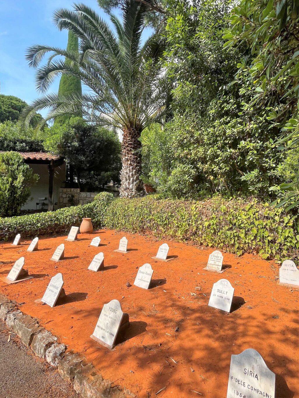 Dog cemetery