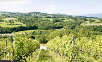 Domaine Lupin roussette de savoie france