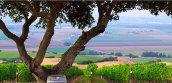 Hahn Estate, Santa Lucia Highlands AVA