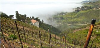 The Malibu Vineyard California