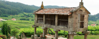 Bodegas Gerardo Méndez, Albariňo Do Ferreiro, Horreo, Rias Baixas | Spain
