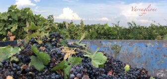 Primitivo di Manduri, Varvaglione, Papale 2017 | Puglia, Italy