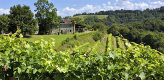 Clos Guirouilh Jurançon Sec vineyards