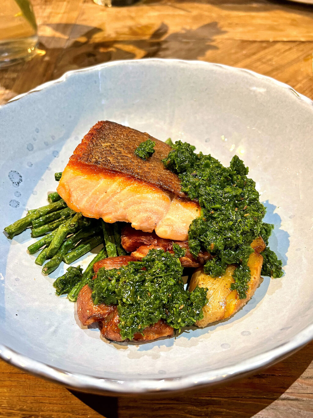 Steelhead salmon