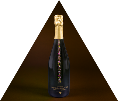Champagne Brut Waris Larmandier Racines de Trois NV