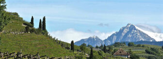 Schiava Alois Lageder Alto adige Italy
