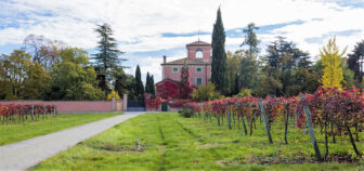 Lambrusco di Sorbara | Cleto Chiarli, Italy