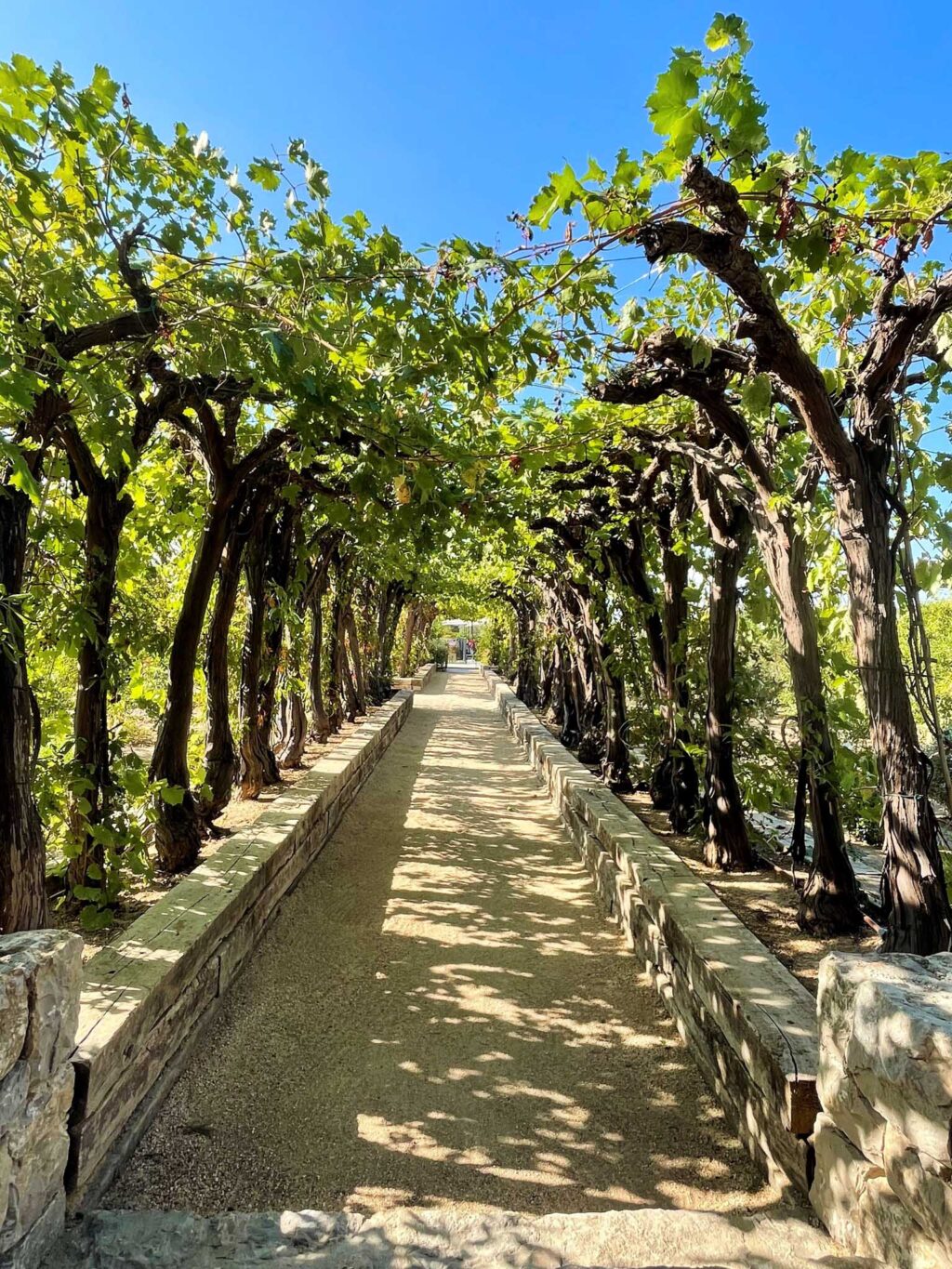 Alley | Ultimate Provence