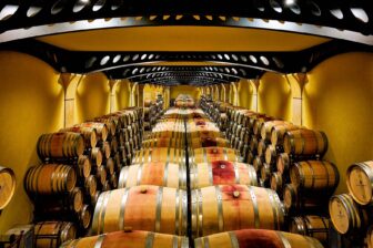 Nero d'Avola, Cellar | Corvo, Colomba Platino | Sicily, Italy