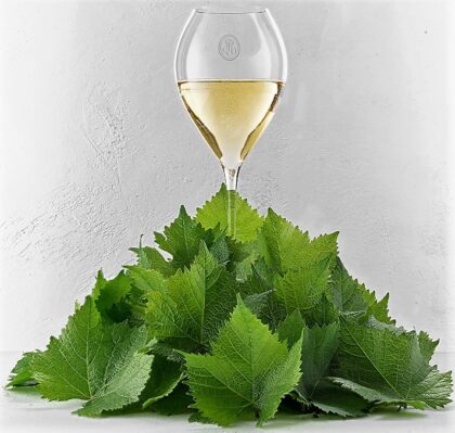 Blanc de blancs champagnes