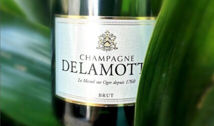 Champagne Brut Delamotte NV