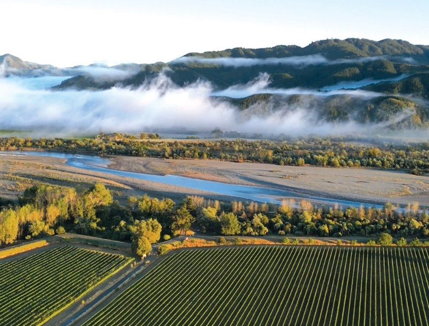 Pinot Gris Wairau River New Zealand